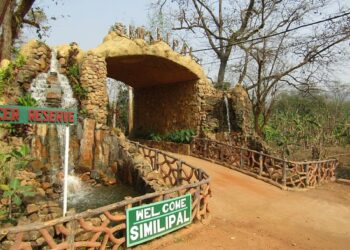 ଶିମିଳିପାଳରେ ହେବ କଳା ବାଘ ସଫାରୀ