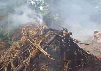 ଘରେ ନିଆଁ ଲାଗି ଜୀବନ୍ତ ଜଳିଗଲେ ୨ ଶିଶୁ