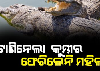 କୁମ୍ଭୀର ଆତଙ୍କ ; କୁମ୍ଭୀର ଟାଣି ନେଇଥିଲା, ମିଳିଲା ମୃତଦେହ !