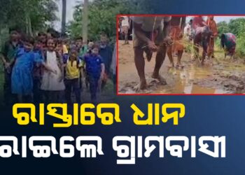 ରାସ୍ତାରେ ଧାନ ରୋଇଲେ ଗ୍ରାମବାସୀ