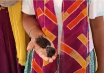ସ୍କୁଲକୁ ବିଳମ୍ବରେ ଆସିବାରୁ ଚୁଟି କାଟିଦେଲେ ଶିକ୍ଷୟତ୍ରୀ