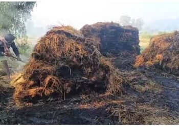 ଅଗ୍ନିକାଣ୍ଡରେ ଜଳିଗଲା ୩ ଏକର ଜମିର ଧାନ