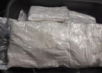 ବ୍ରାଉନସୁଗାର ଜବତ, ଚଢାଉ ବେଳେ ଅବକାରୀ ଟିମ୍ ହଟହଟା