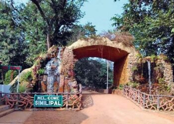 ଶିମିଳିପାଳ ସୁରକ୍ଷା ଦାୟିତ୍ୱରେ ରହିବେ ୧୩୧ ଜଣିଆ ଆର୍ମଡ ପୋଲିସ ରିଜର୍ଭ ଫୋର୍ସ