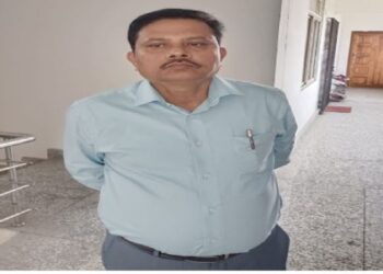 ଭିଜିଲାନ୍ସ ଜାଲରେ ତହସିଲଦାର