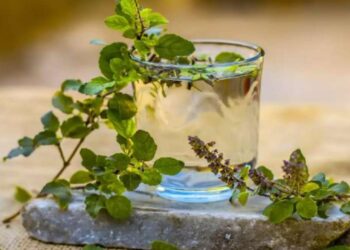 ଔଷଧୀୟ ଗୁଣରେ ଭରପୁର ତୁଳସୀ ପତ୍ର ପାଣି