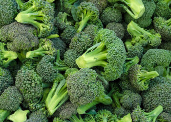 ଆଇରନରେ ଭରପୁର ଏହି ସବୁଜ ପରିବା, ବଢିବ ରୋଗ ପ୍ରତିରୋଧକ ଶକ୍ତି