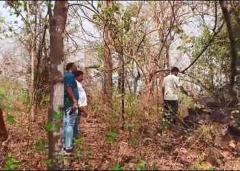 ଜଙ୍ଗଲରେ ଯୁବତୀଙ୍କ ଗଳିତ ଶବ