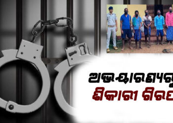 ଅଭୟାରଣ୍ୟରୁ ୫ ଶିକାରୀ ଗିରଫ