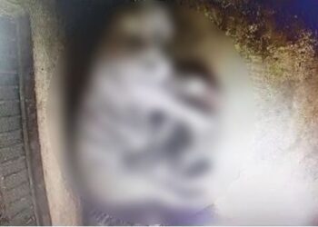 ନନ୍ଦନକାନନରେ ଧଳା ବାଘ ଶାବକର ମୃତ୍ୟୁ