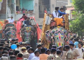 ଅହମଦାବାଦ ରଥଯାତ୍ରାରେ ଅଘଟଣ , ଡିଜେ ବାଜିବାରୁ ବେକାବୁ ହେଲା ଗଜରାଜ