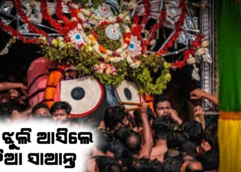 ଝୁଲି ଝୁଲି ଆସିଲେ କାଳିଆ ସାଆନ୍ତ , ଭକ୍ତ ରହିଛନ୍ତି ଅପେକ୍ଷାରେ