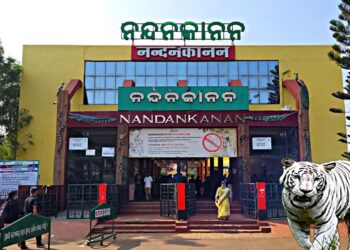 ରଜରେ ଖୋଲା ରହିବ ନନ୍ଦନକାନନ