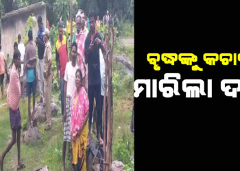 ବୃଦ୍ଧଙ୍କୁ କଚାଡି ମାରିଲା ଦନ୍ତା