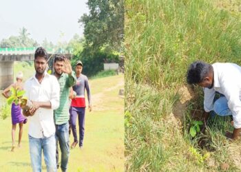 ବନ ମହୋତ୍ସବରେ ଯୁବପୀଢିଙ୍କ ନିଆରା ପ୍ରୟାସ