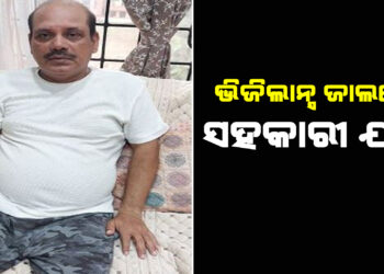 ଭିଜିଲାନ୍ସ ଜାଲରେ ସହକାରୀ ଯନ୍ତ୍ରୀ
