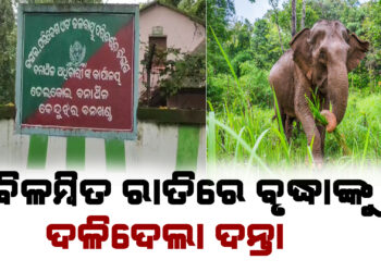 ବୃଦ୍ଧାଙ୍କୁ ଦଳିଦେଲା ଦନ୍ତା
