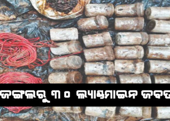 ସୁରକ୍ଷାବାହିନୀକୁ ସଫଳତା, ଜଙ୍ଗଲରୁ ୩୦ ଲ୍ୟାଣ୍ଡମାଇନ ଜବତ