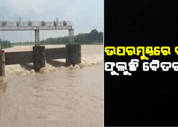 ସତର୍କ ସଂକେତ ଉପରେ ବୈତରଣୀ
