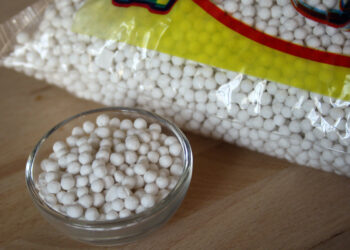 ଓଜନ ବଢାଇବା ପାଇଁ ଖାଆନ୍ତୁ ଶାଗୁ , ଜାଣନ୍ତୁ ଶାଗୁର ଲାଭ…