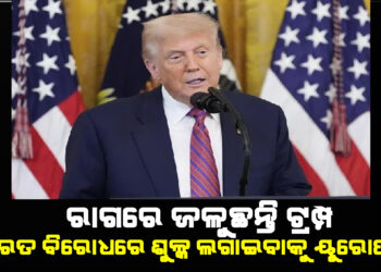 ଟ୍ରମ୍ପଙ୍କ ଷଡଯନ୍ତ୍ର ; ଭାରତ ବିରୋଧରେ ଶୁଳ୍କ ଲାଗୁ କରିବାକୁ ୟୁରୋପୀୟ ଦେଶକୁ କଲେ ଅପିଲ