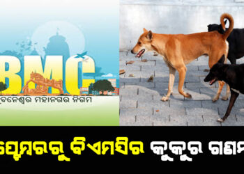 ସେପ୍ଟେମ୍ବରରୁ ବିଏମସିରେ କୁକୁର ଗଣନା