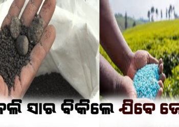 ନକଲି ସାର ବିକିଲେ ଯିବେ ଜେଲ ; ଉପମୁଖ୍ୟମନ୍ତ୍ରୀ
