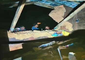 କରଞ୍ଜିଆରେ ହାତୀ ଉପଦ୍ରବ : ଭାଙ୍ଗିଲେ ୪ ଘର