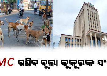 ରାଜ୍ୟରେ ପ୍ରଥମ ଥର ୧୭ରୁ ୨୪ ଯାଏଁ ଚାଲିବ ବୁଲା କୁକୁର ଗଣନା ପ୍ରକ୍ରିୟା