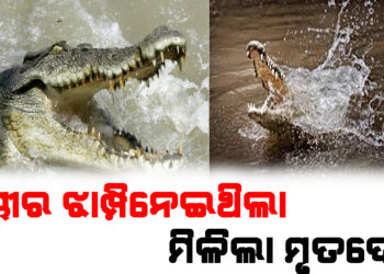 କୁମ୍ଭୀର ଝାମ୍ପିନେଇଥିଲା , ମିଳିଲା ମୃତଦେହ