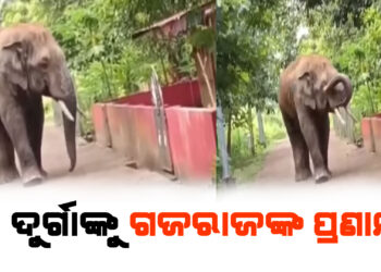 ମା ଦୁର୍ଗାଙ୍କୁ ଶୁଣ୍ଢଟେକି ମୁଣ୍ଡିଆ ମାରିଲା ଦନ୍ତା