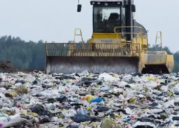 ଅଳିଆରୁ ପ୍ରସ୍ତୁତ ହେବ ଏନର୍ଜି ଆଉ କୋଇଲା , ପଳାଶୁଣୀରେ ହେବ ପ୍ଲାଣ୍ଟ ; ମୁଖ୍ୟମନ୍ତ୍ରୀ