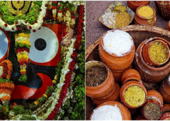 ଜୈବିକ ଚାଉଳରେ ହେବ କୋଠ ଭୋଗ