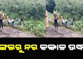 ଜଙ୍ଗଲରୁ ନର କଙ୍କାଳ ଉଦ୍ଧାର