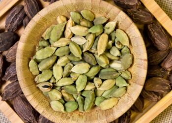 ଗୁଜୁରାତିରେ ରହିଛି ଅନେକ ଔଷଧୀୟ ଗୁଣ, ଜାଣି ରଖନ୍ତୁ…