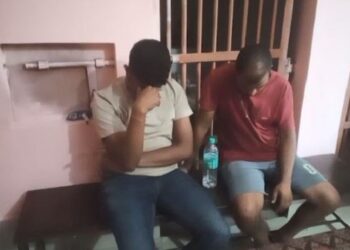 ହାତୀ ଦାନ୍ତ ବେଳେ ମାଡି ବସିଲା STF