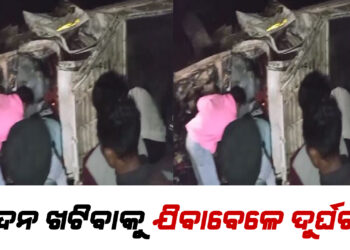 ପିକଅପ ଭ୍ୟାନ ଉପରେ ମାଡିଗଲା ହାଇୱା