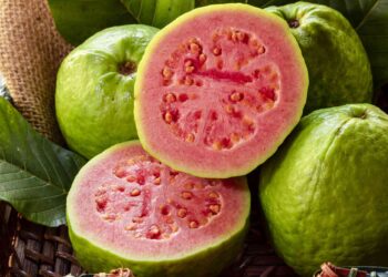 ପିଜୁଳି ଦେବ ୫ଟି ଜବରଦସ୍ତ ଫାଇଦା, ଏହାକୁ ଖାଇବାର ସଠିକ୍ ସମୟ ଜାଣନ୍ତୁ……..