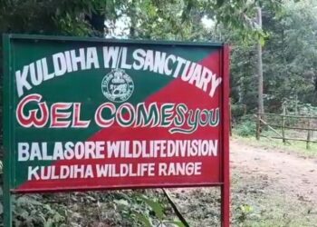 ଆଜି ଖୋଲିବ କୁଳଡିହା ଅଭୟାରଣ୍ୟ