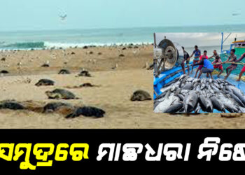 ୭ ସମୁଦ୍ରରେ ମାଛଧରା ନିଷେଧ