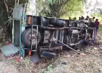 ଓଲଟିଲା ପିକଅପ ଭ୍ୟାନ, ୧୨ ଗୋରୁ ମୃତ