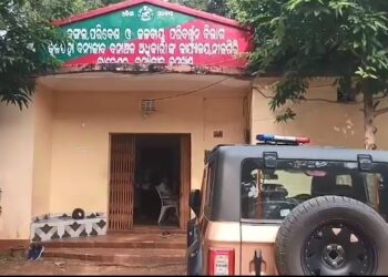 କୁଳଡିହାରେ ଆଜିଠୁ ବାଘ ଗଣନା