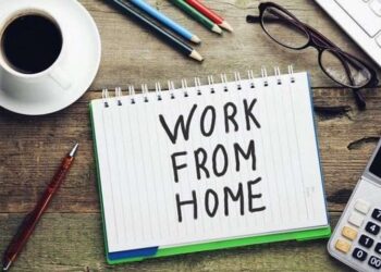 ଦିଲ୍ଲୀରେ ୱାର୍କ ଫ୍ରମ ହୋମ