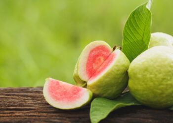 ଏହି ସବୁ ରୋଗ ପାଇଁ ଲାଭଦାୟକ ବିଜୁଳି