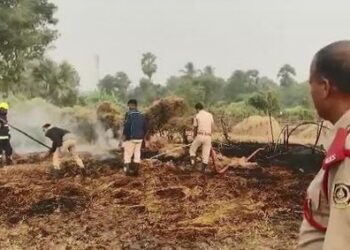 ଛିଡିଲା ୧୧ କେଭି ; ଜଳିଗଲା ଧାନ ଫସଲ