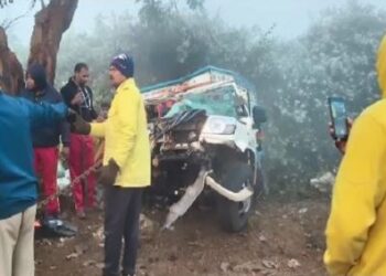 ପରିବା ବୋଝେଇ ପିକଅପ ଦୁର୍ଘଟଣା, ଡ୍ରାଇଭର ମୃତ