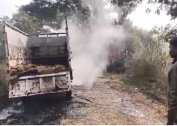 ଗୋରୁ ଗାଡି ଜାଳିଦେଲେ ଗାଁଲୋକ