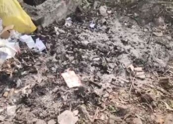 ପୋଡି ଦେଲେ ପେଟିପେଟି ଔଷଧ