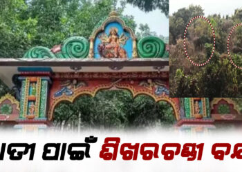 ହାତୀ ପାଇଁ ଶିଖରଚଣ୍ଡୀ ବନ୍ଦ