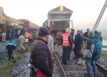 ଟ୍ରେନ ଧକ୍କାରେ ୮ ହାତୀ ମୃତ